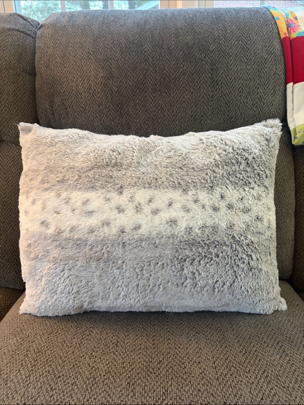 Faux Fur Accent Pillow - Light Gray